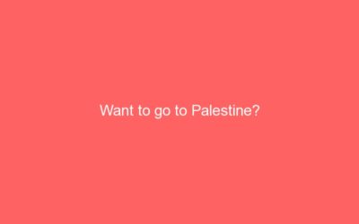 Want to go to Palestine?